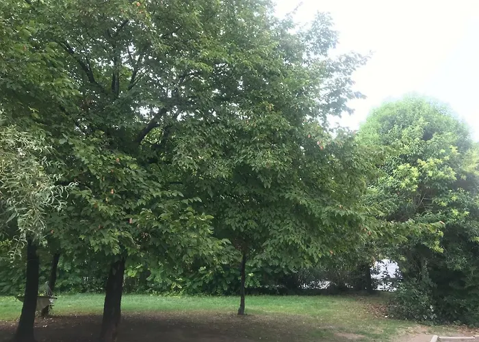 アパート La Magnolia Violet